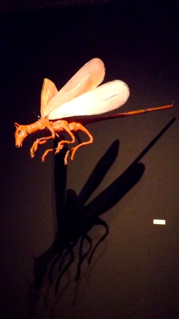 caballitoRojo