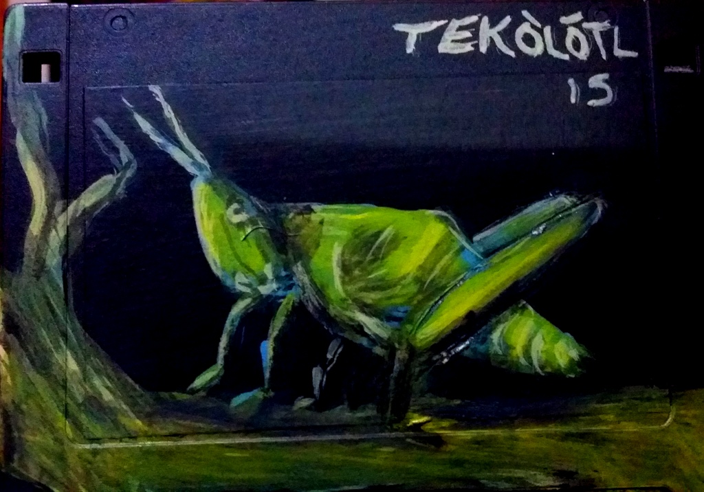 12 Símbolos sobre disquetes (floppy&nbsp;disk)