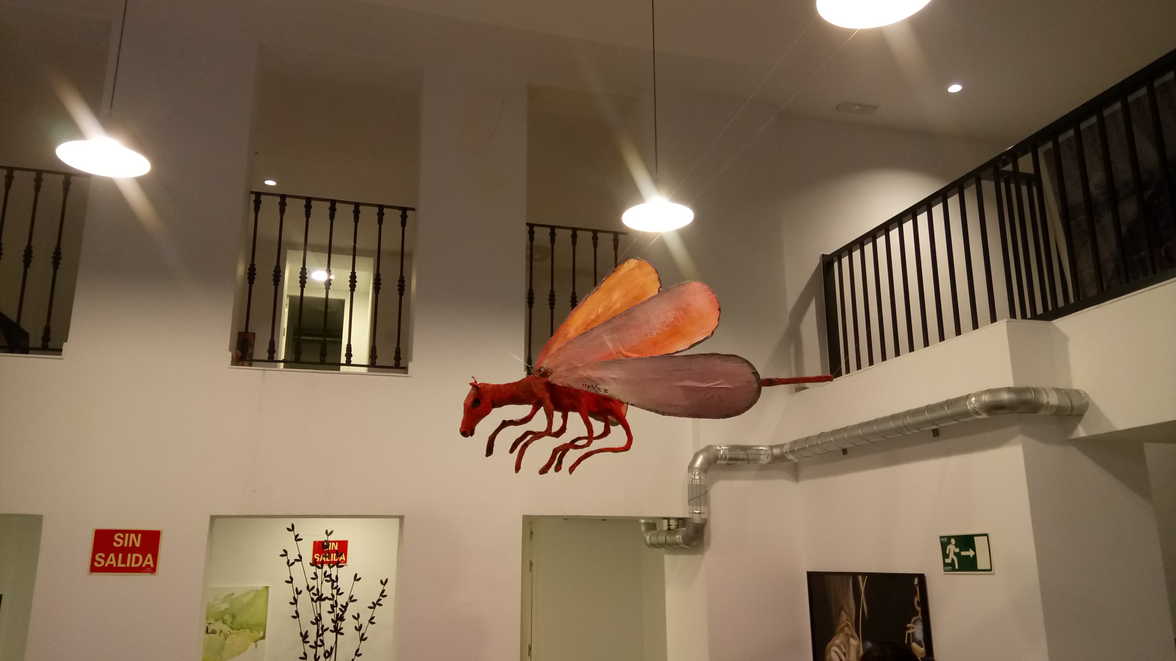 dragonflyhorse